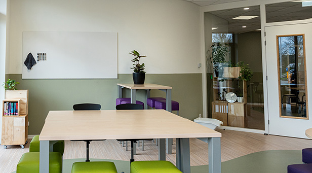 Chameleon, Référence, Van der Capelle