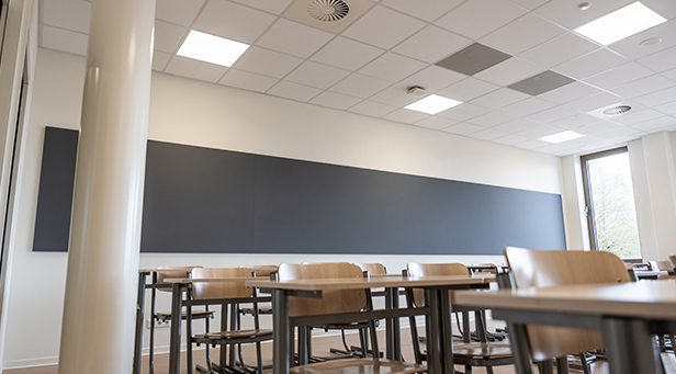 Chameleon, Referenz, Van der Capelle