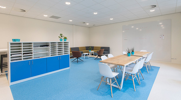 chameleon-writing-references-obs-grave-hartenaas-1